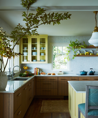 Kitchen with yellow cabinets and wooden countertops with large plant