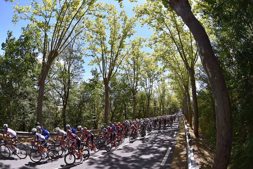 Scenery along the route of stage 14 at the Tour de France