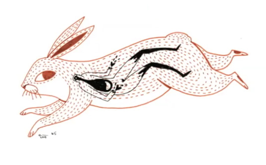 Postmortem illustration