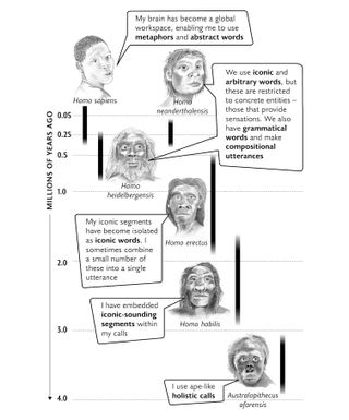 A diagram showing the evolution of human language.