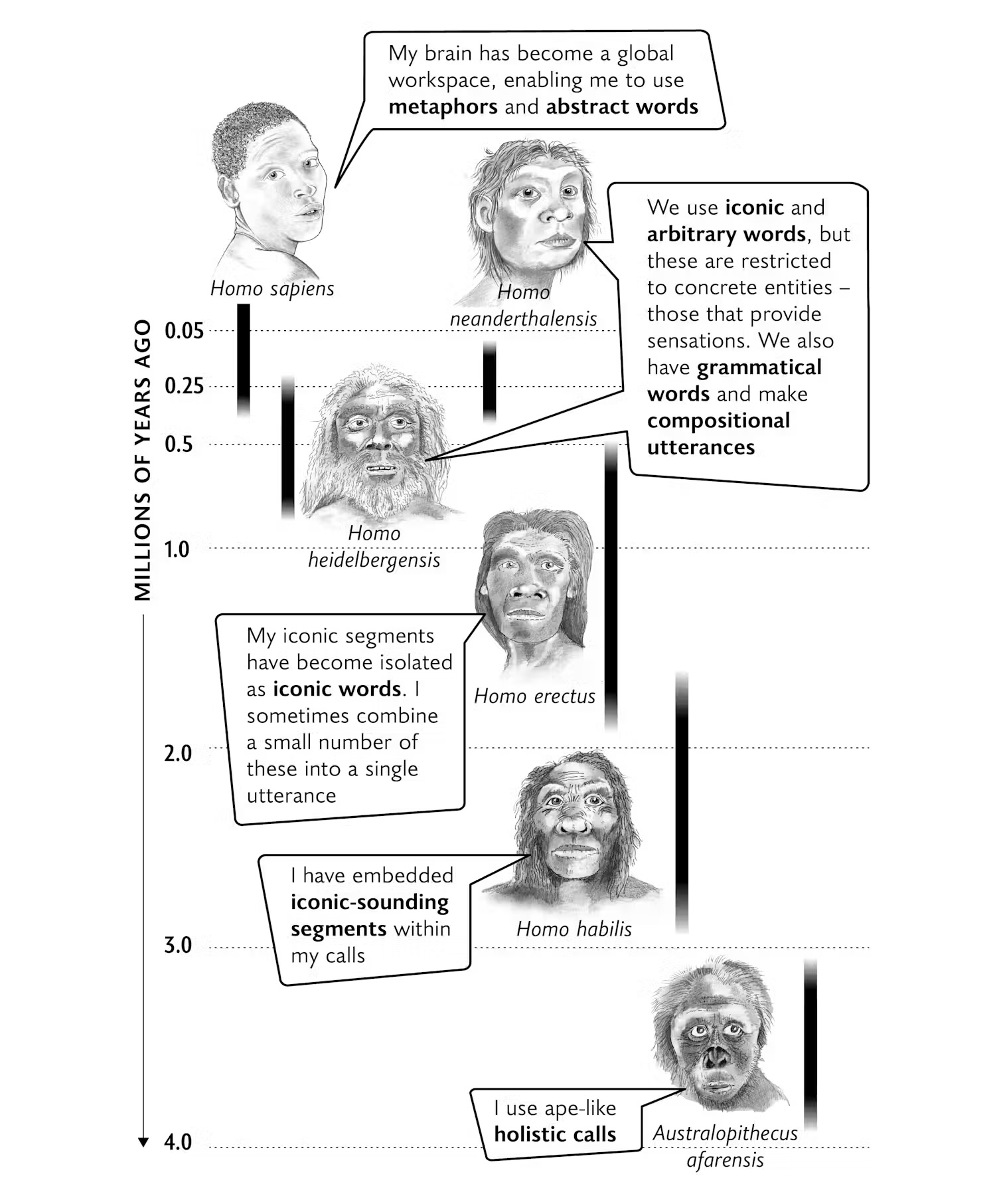 Um diagrama que mostra a evolução da linguagem humana.