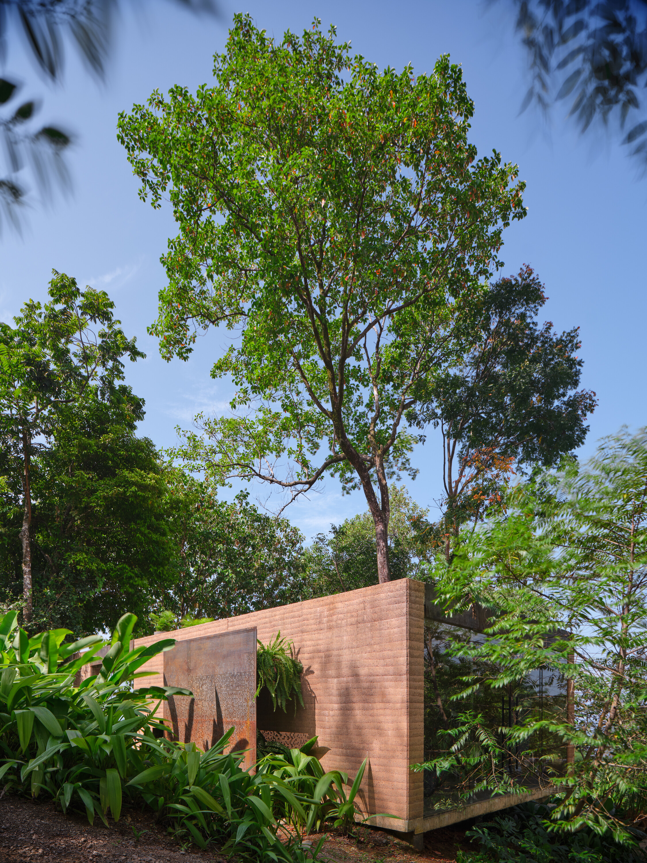 The house is embedded in the jungle