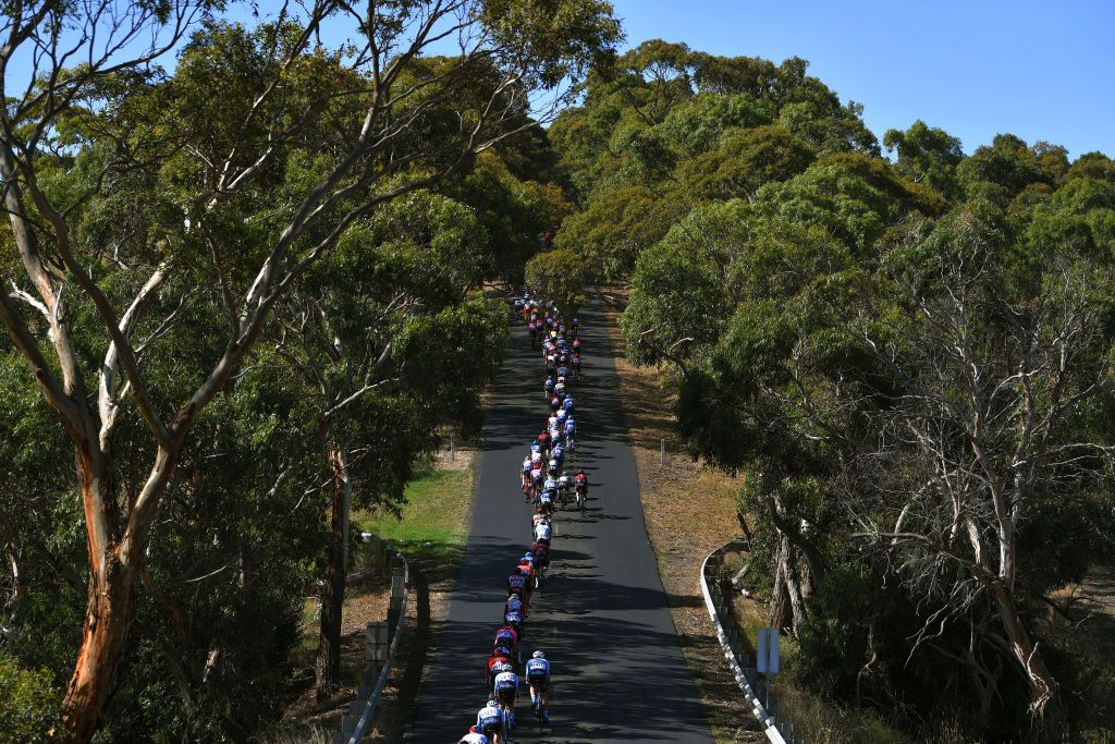 The speed was high at the 2020 Race Torquay