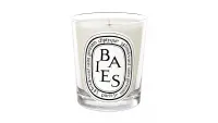 Diptyque Rose Baies Candle