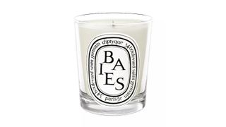 Diptyque Rose Baies Candle