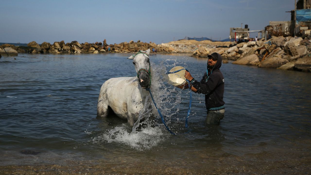 A Palestinian man showers his horse on the beach of Gaza City's Mediterranean coast.