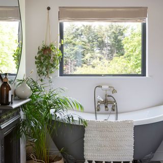 White bathroom with blue bathtub and houseplants