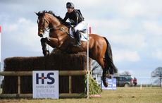HorseNo852_BurnhamMarket15pn_6679.jpg