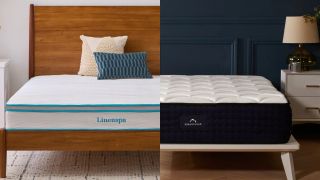 The Linenspa Memory Foam Hybrid mattress on a bed frame directly next to the DreamCloud mattress on a bed frame