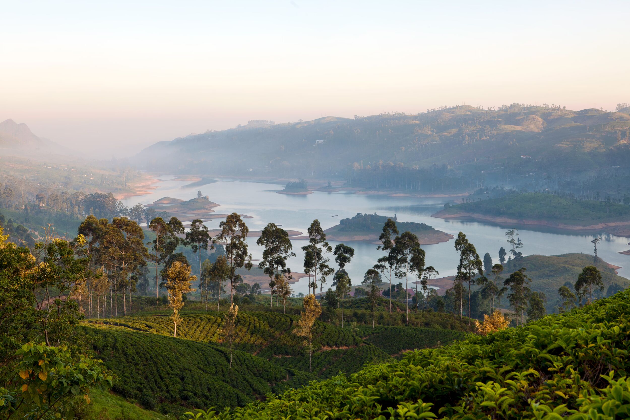 Walking trail in Sri Lanka