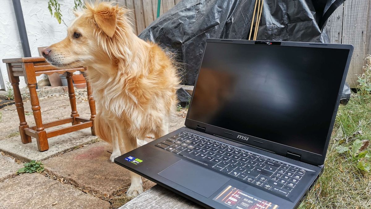 An MSI gaming laptop outdoors.