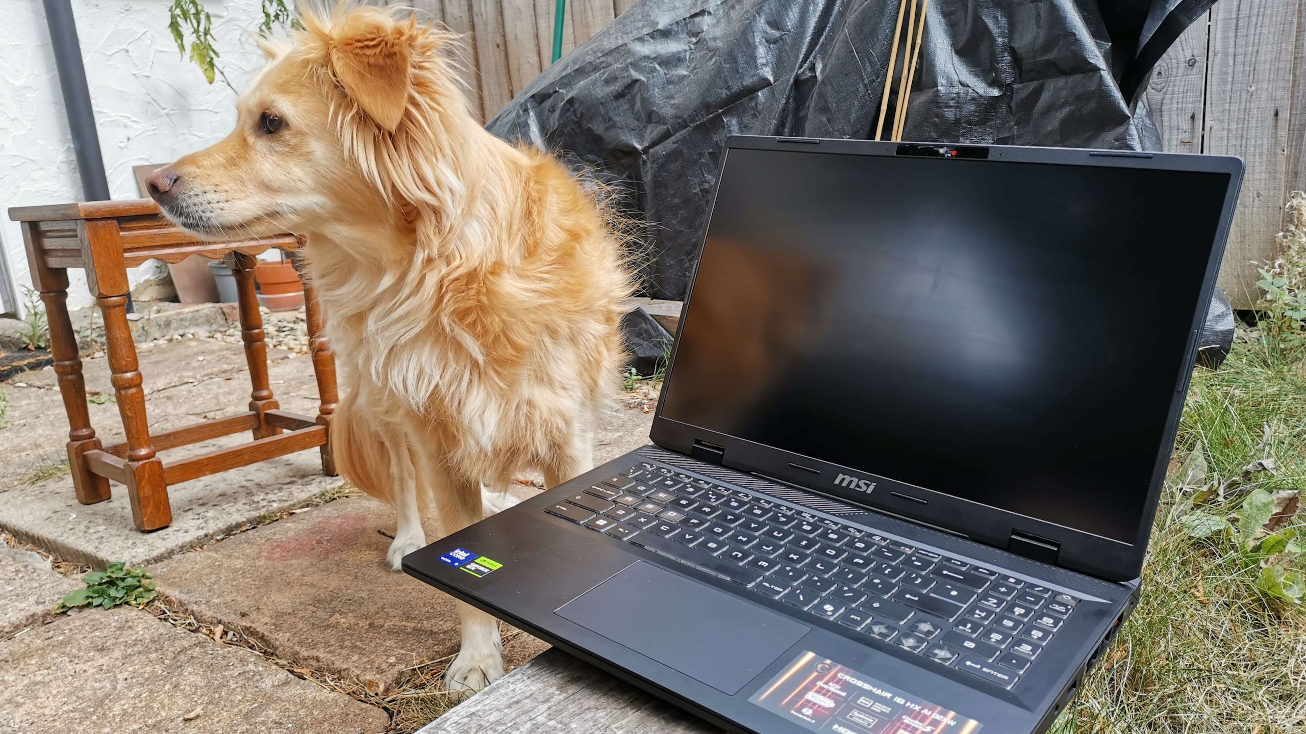 An MSI gaming laptop outdoors.