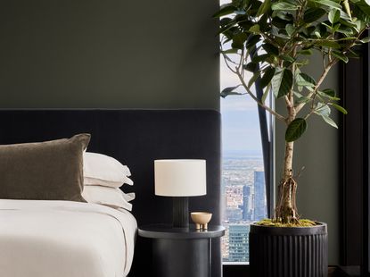 minimalist green bedroom with an indoor tree next to the bed