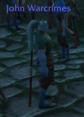 Players running around in WoW: Forever with some suspect, silly names.