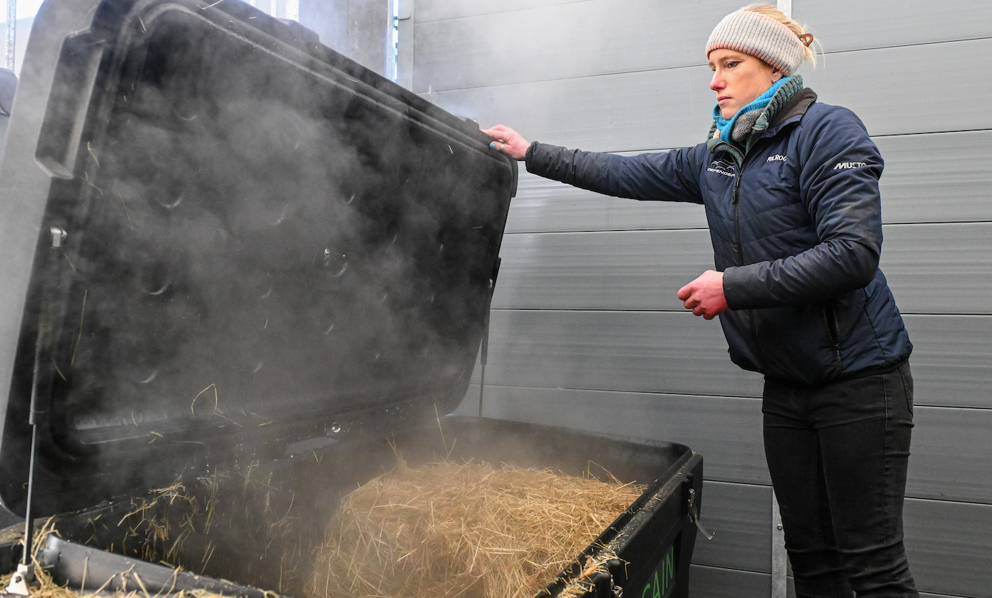 Groom using the hay steamer
