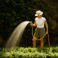Woman in hat watering garden with hose