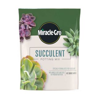 Bag of Miracle-Gro succulent potting mix on white background