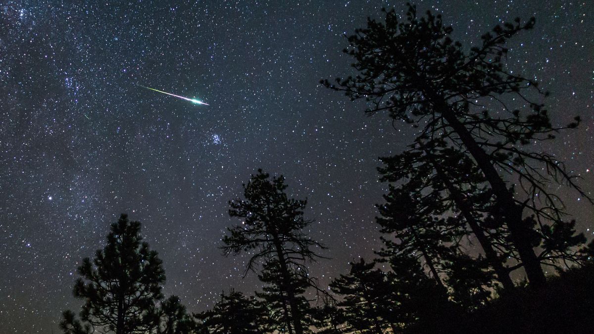 How to watch the Lyrids, the most intense meteor shower of 2023 Woman
