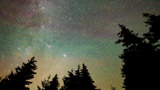 The Perseid Meteor Shower, 30 second long exposure, a meteor streaks across the colorful sky during the annual Perseid shower, black pine trees shadows.