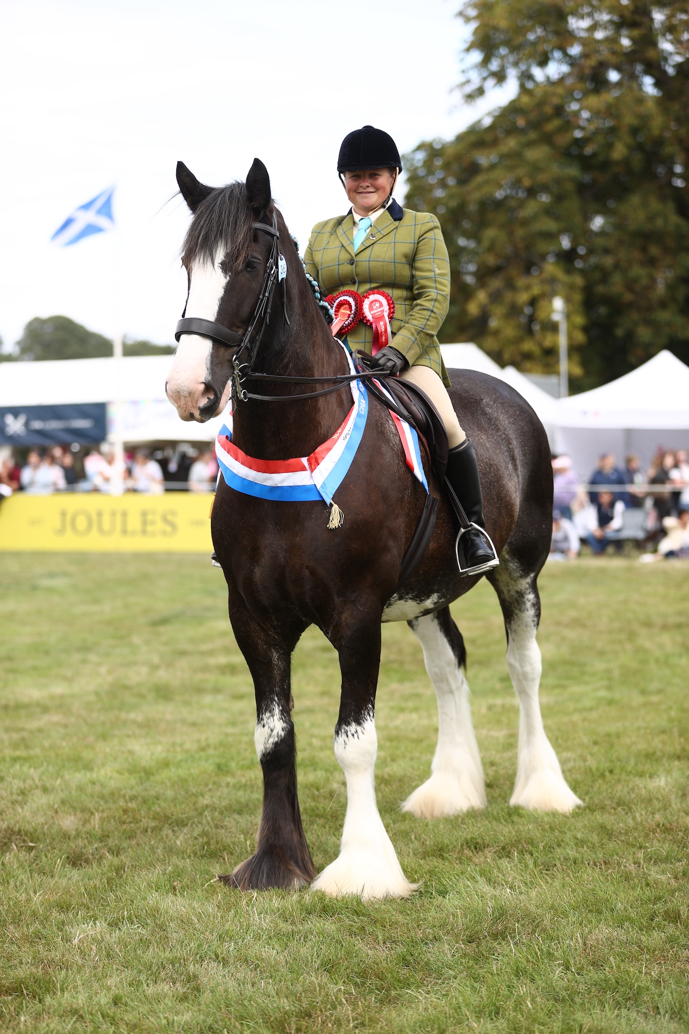 Yvonne Pringle and Mardoug's Highland Park are one of eight champions who stunned at Scone Palace