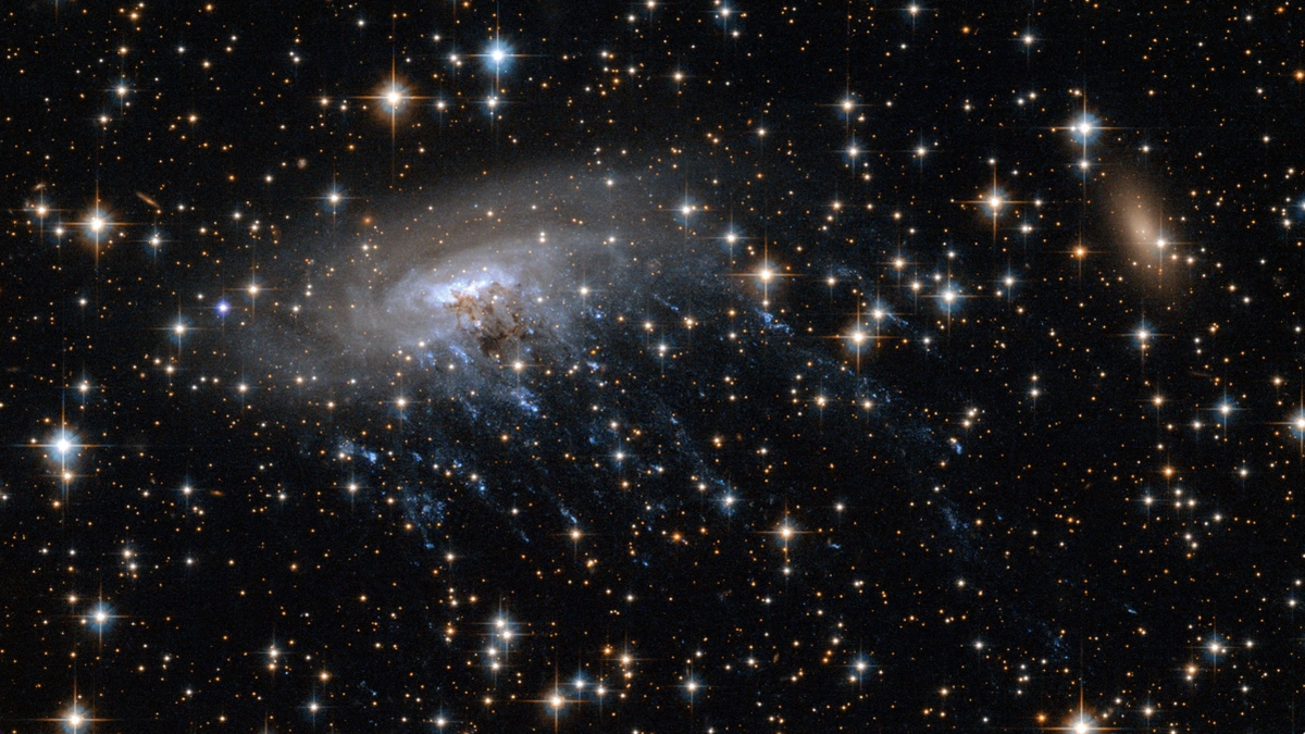 James Webb telescope discovers tentacled 'jellyfish' galaxy swimming through deep space