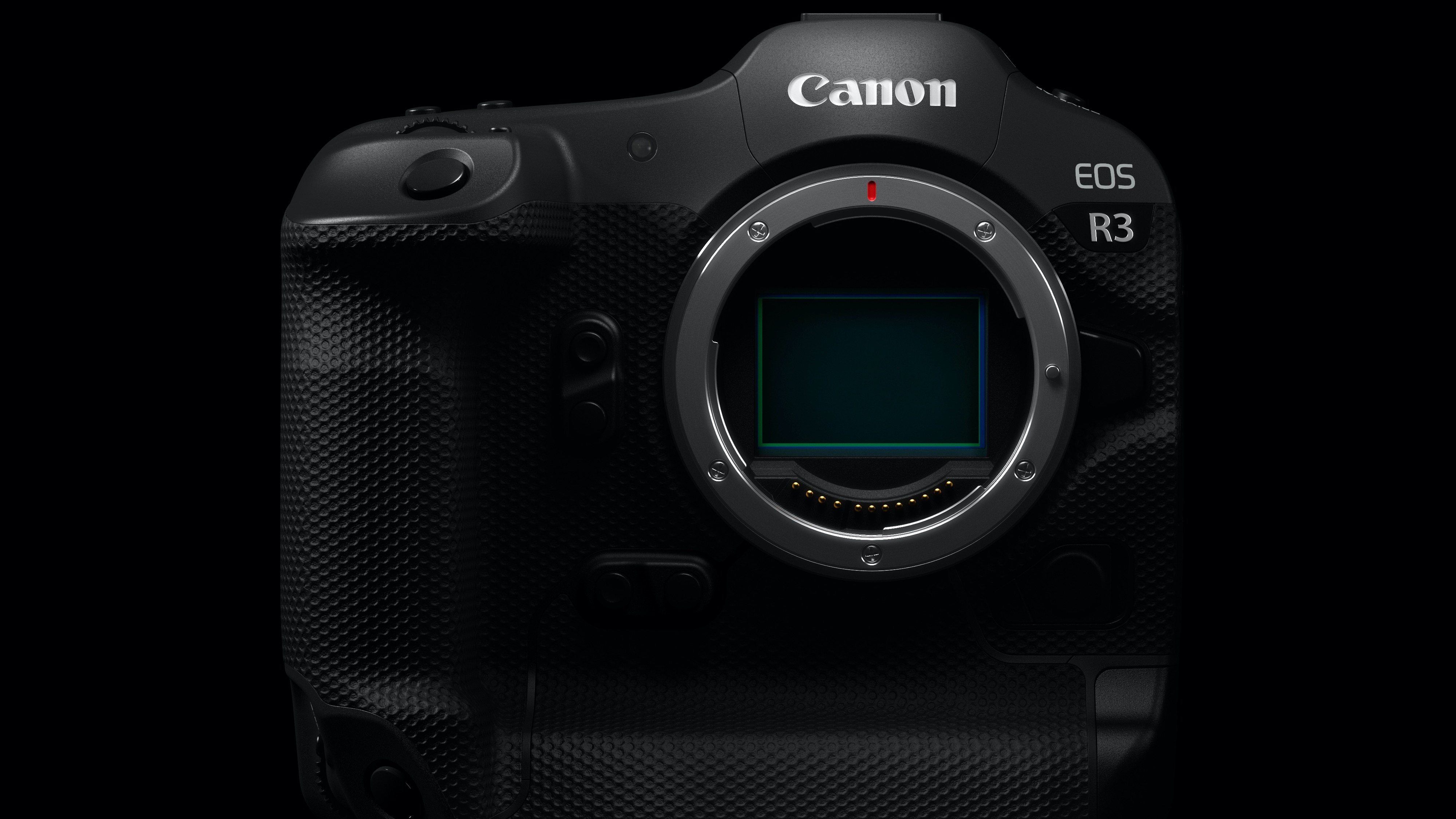 First Canon EOS R3 Olympics photos appear to reveal its resolution