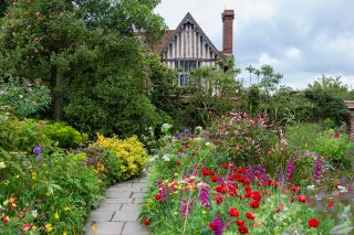 Detail of planting in the Barn Garden at Great Dixter, Northiam, East Sussex, England, UK: the manor house beyond