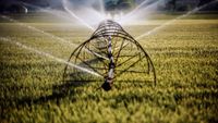 water sprinklers irrigating a lawn