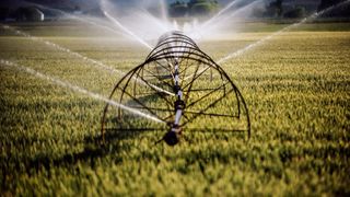 water sprinklers irrigating a lawn
