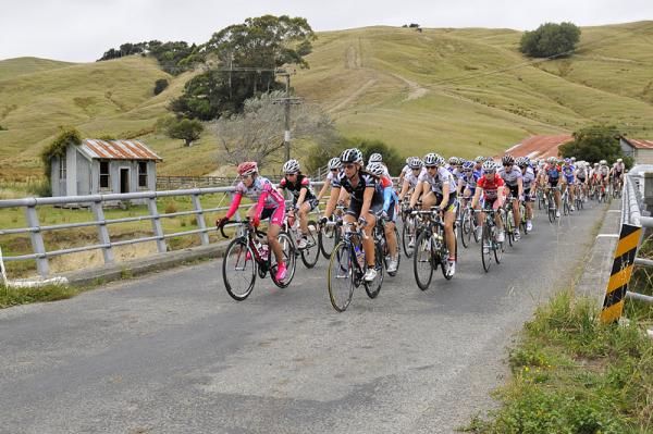 The peloton cruise through the rolling countryside of the Wairarapa.