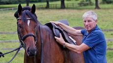 David Baxter &ndash; master saddle fitter