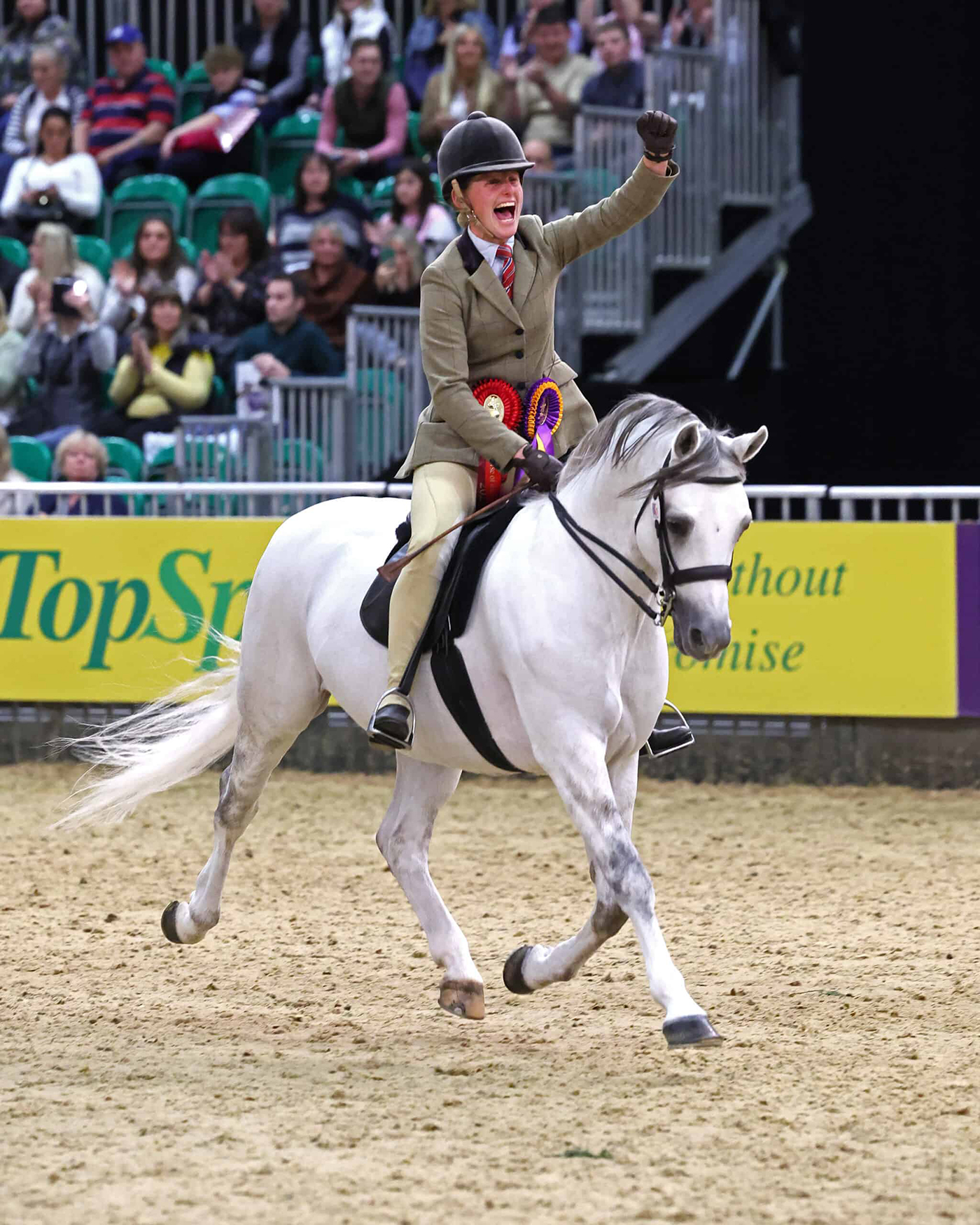 Welsh-B-AH2_3037-copy-scaled-2.jpg