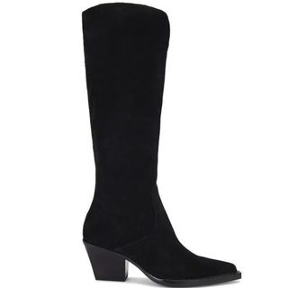 Dolce Vita Raj Pointed Toe Knee High Boot