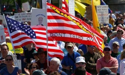 A Tea Party rally in Washington, DC.