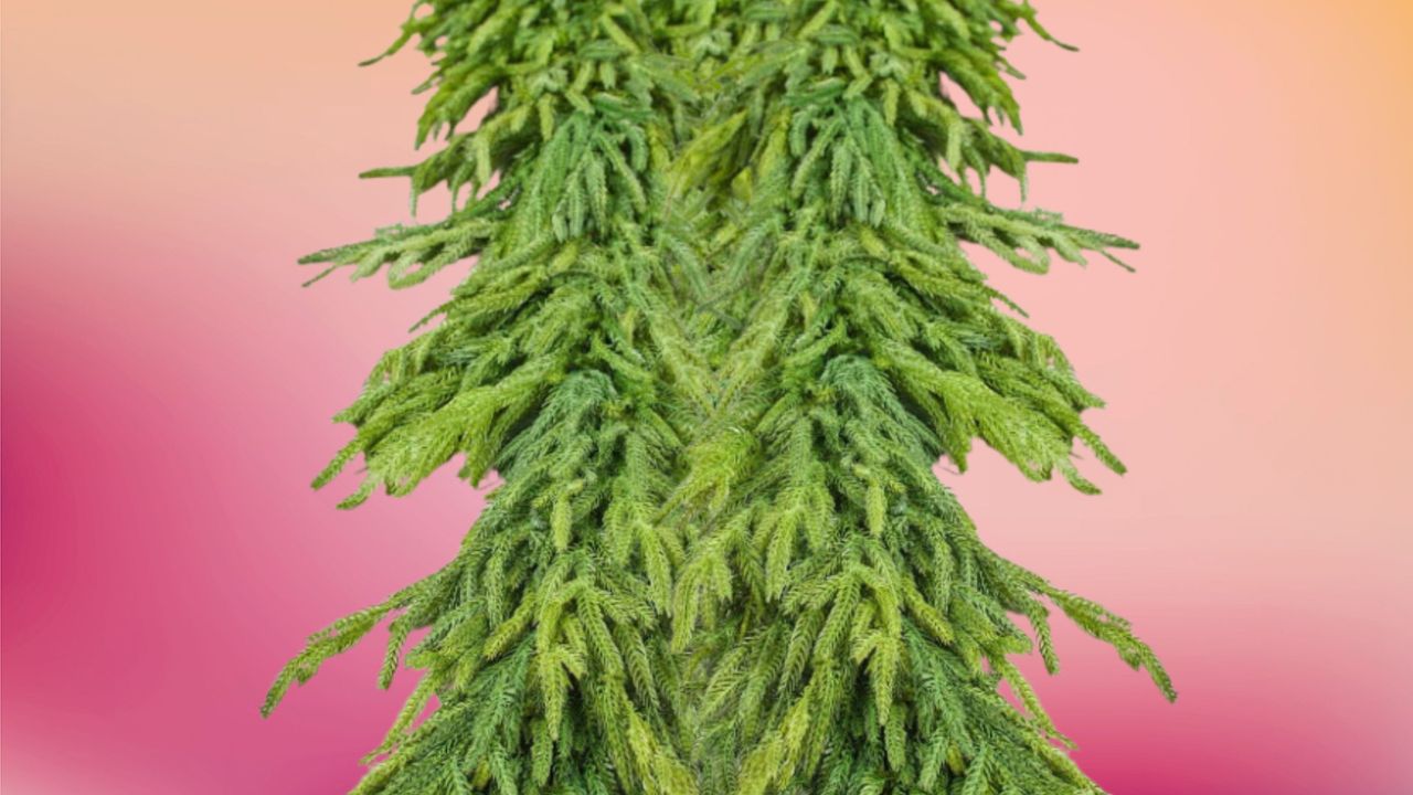 Aflora&#039;s sold-out viral Christmas pine garland just restocked - shop it here now.