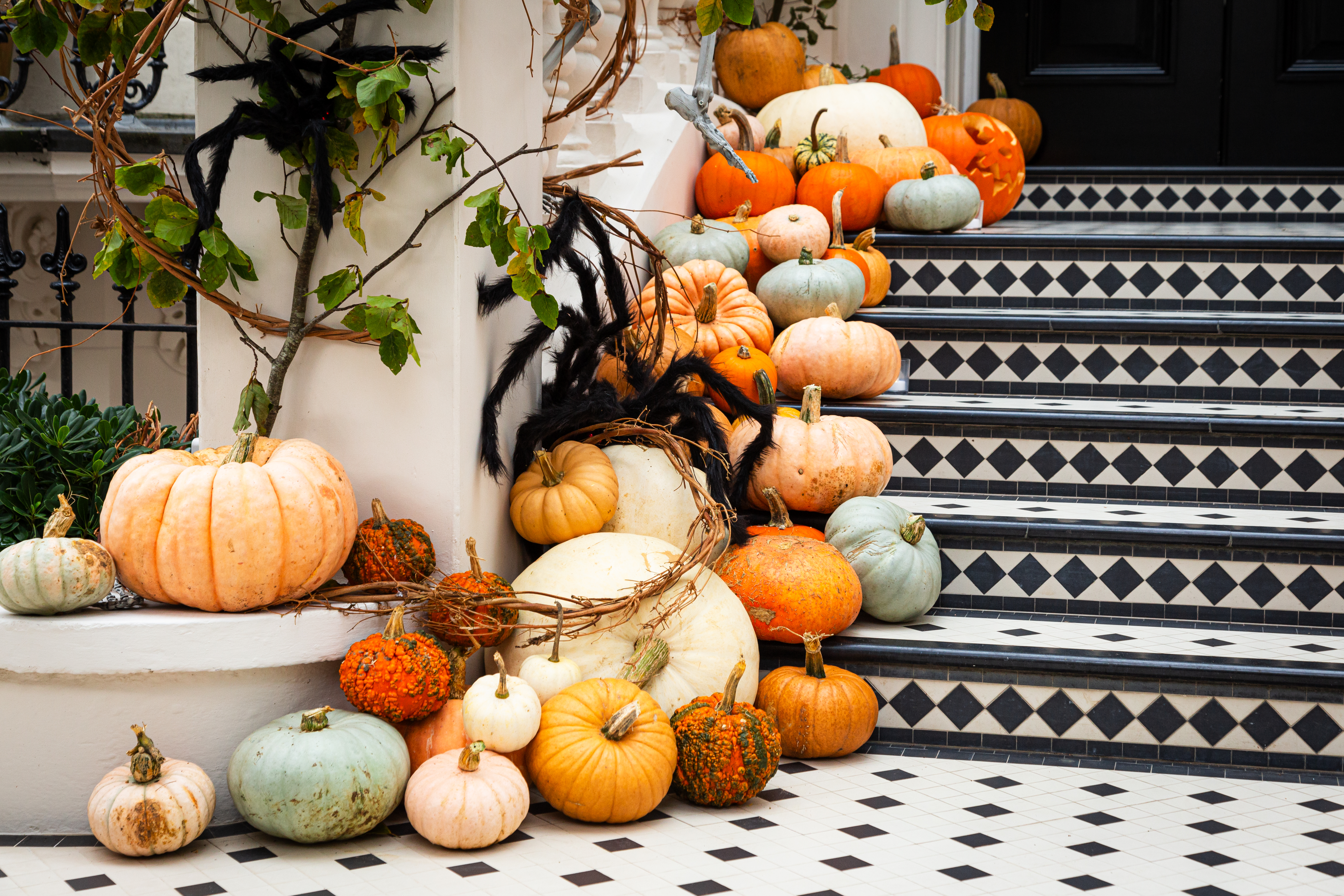 Display of Halloween pumpkins on front steps of house