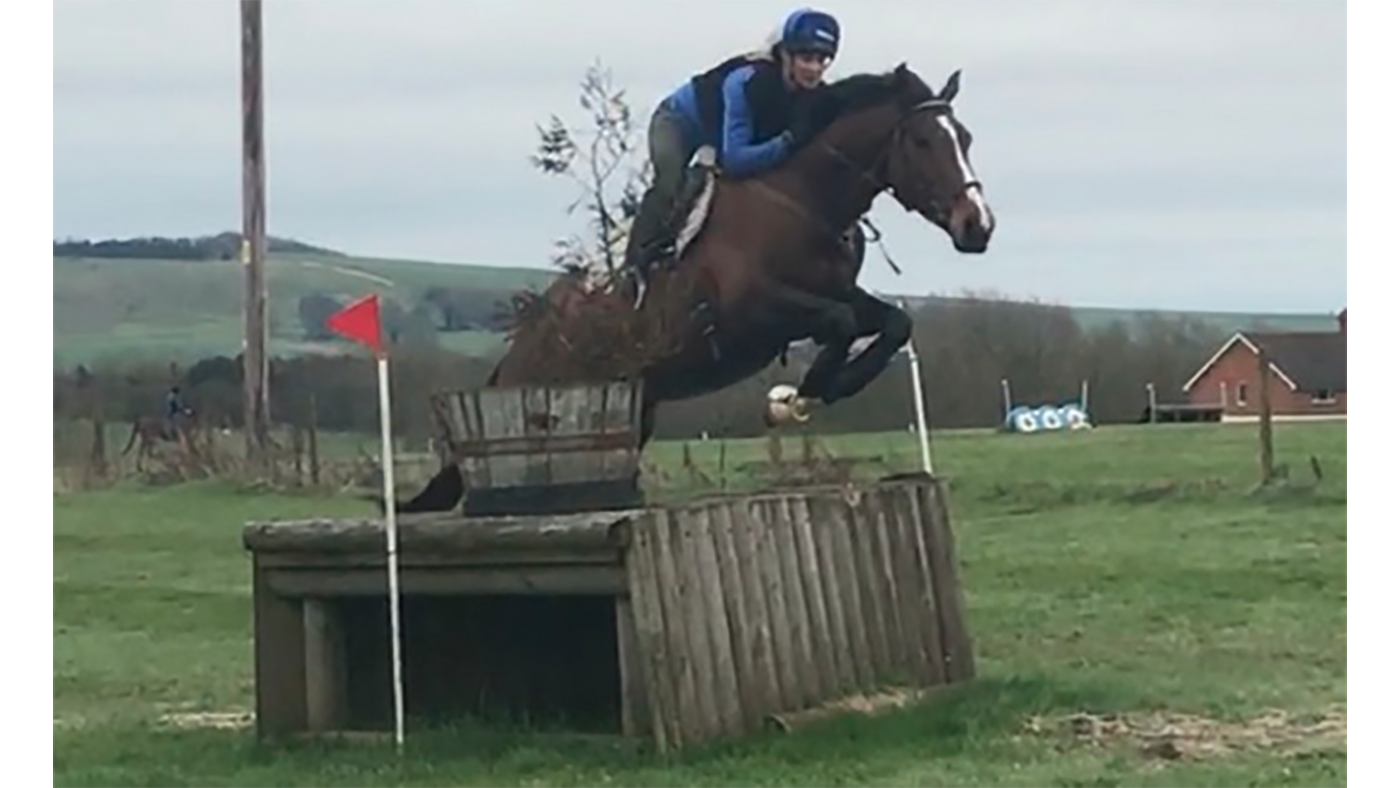 Horses for sale in the south west