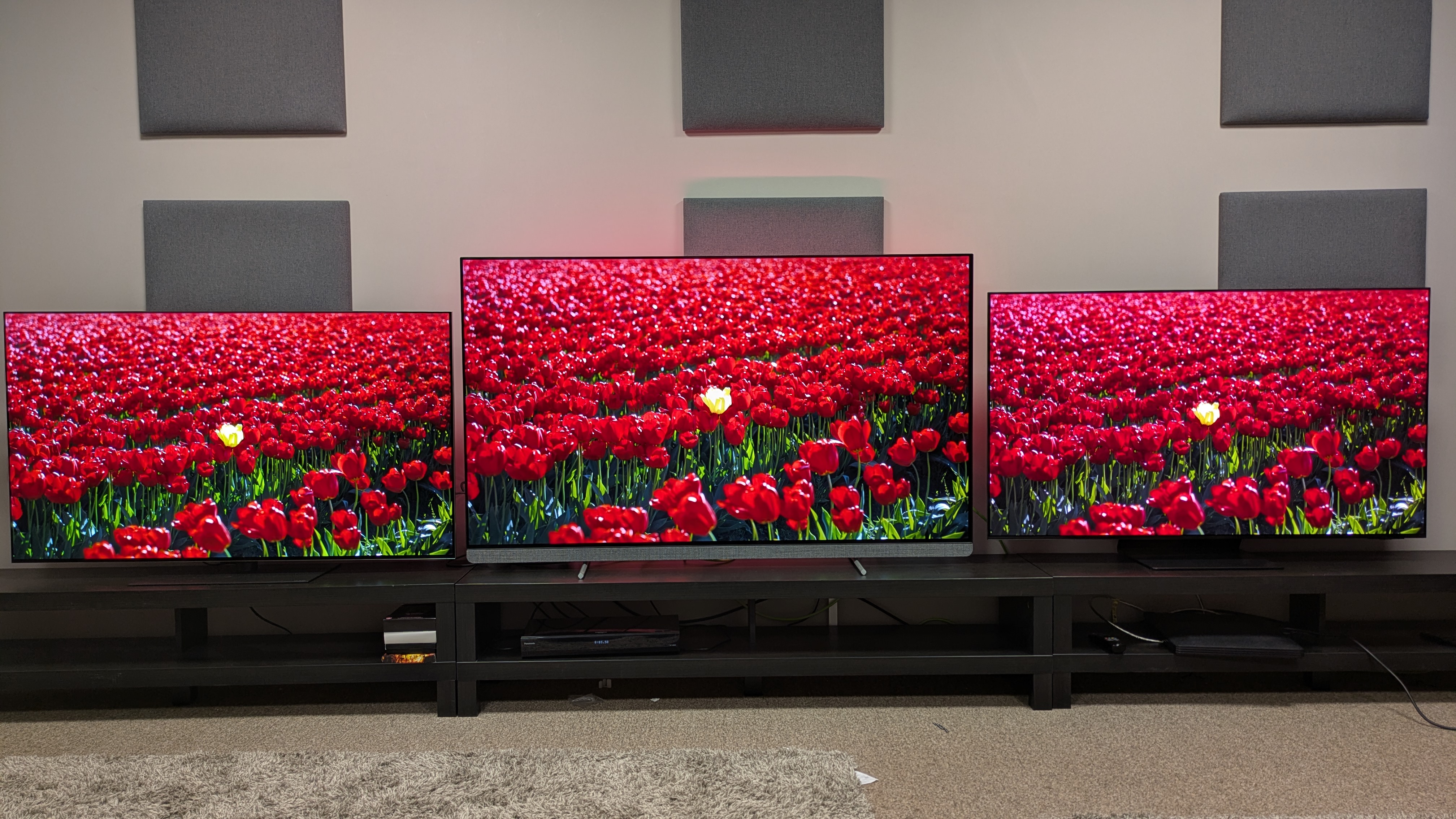 LG G5 (left) vs Philips OLED910 (middle) vs Samsung S95F (right) showing red flowers on screen in bright room