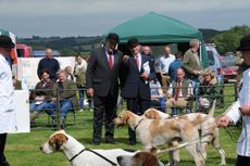 9-Blaston-Hound-Show-28.06.16-2344-e1436870082381.jpg