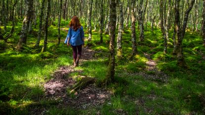 Woman walking through green woods