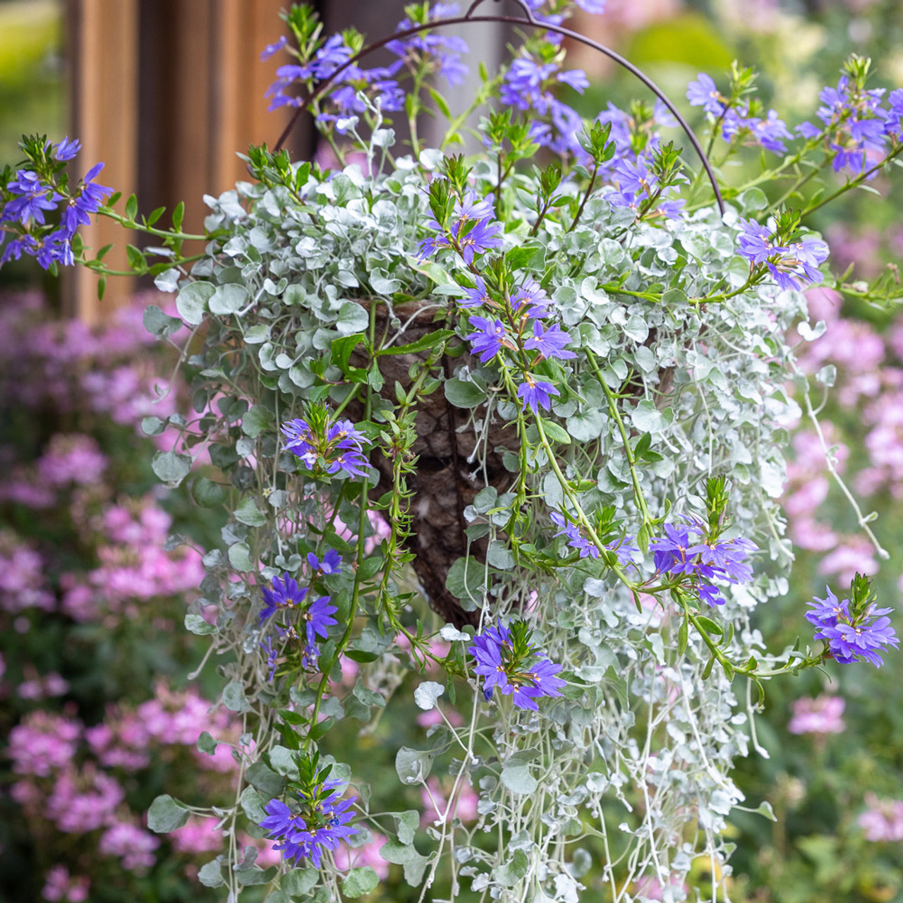 Niagara Falls Hanging Garden Collection
