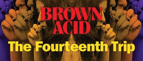 Brown Acid: The Fourteenth Trip cover art