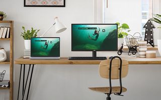 Dell SE Series monitor sitting on a wooden desk in a bright room with a laptop and keyboard nearby. 