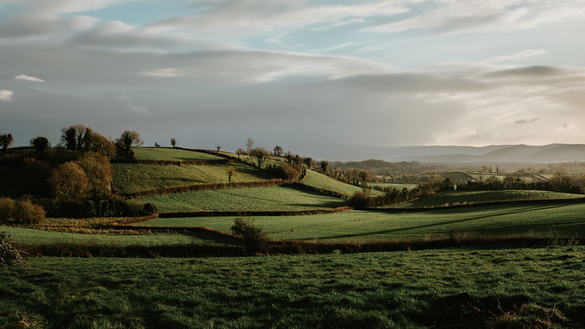 An image of the Irish landscape