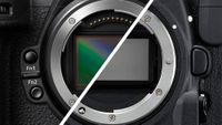Nikon Z8 and D850 close-up of image sensors 