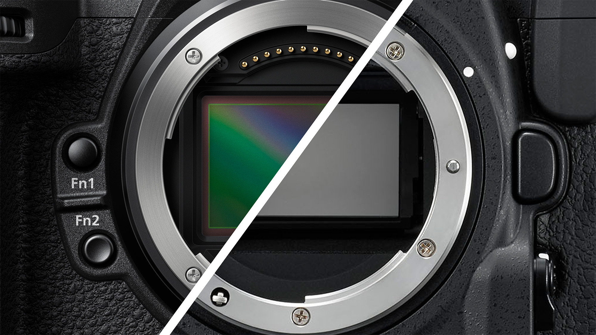 Nikon Z8 and D850 close-up of image sensors