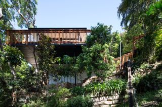 Palm Beach Tree House by Richard Cole Architecture