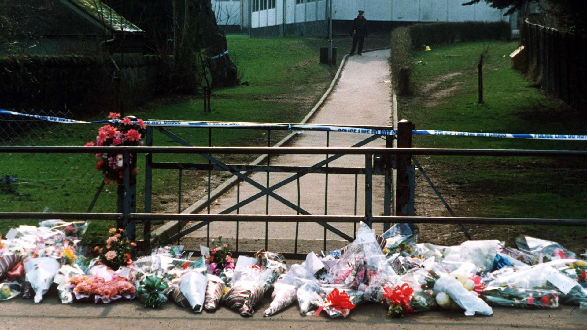 Flowers outside school