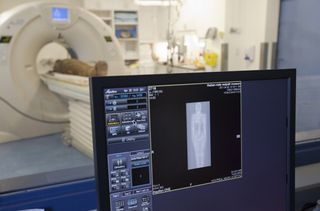 A male mummy is CT scanned
