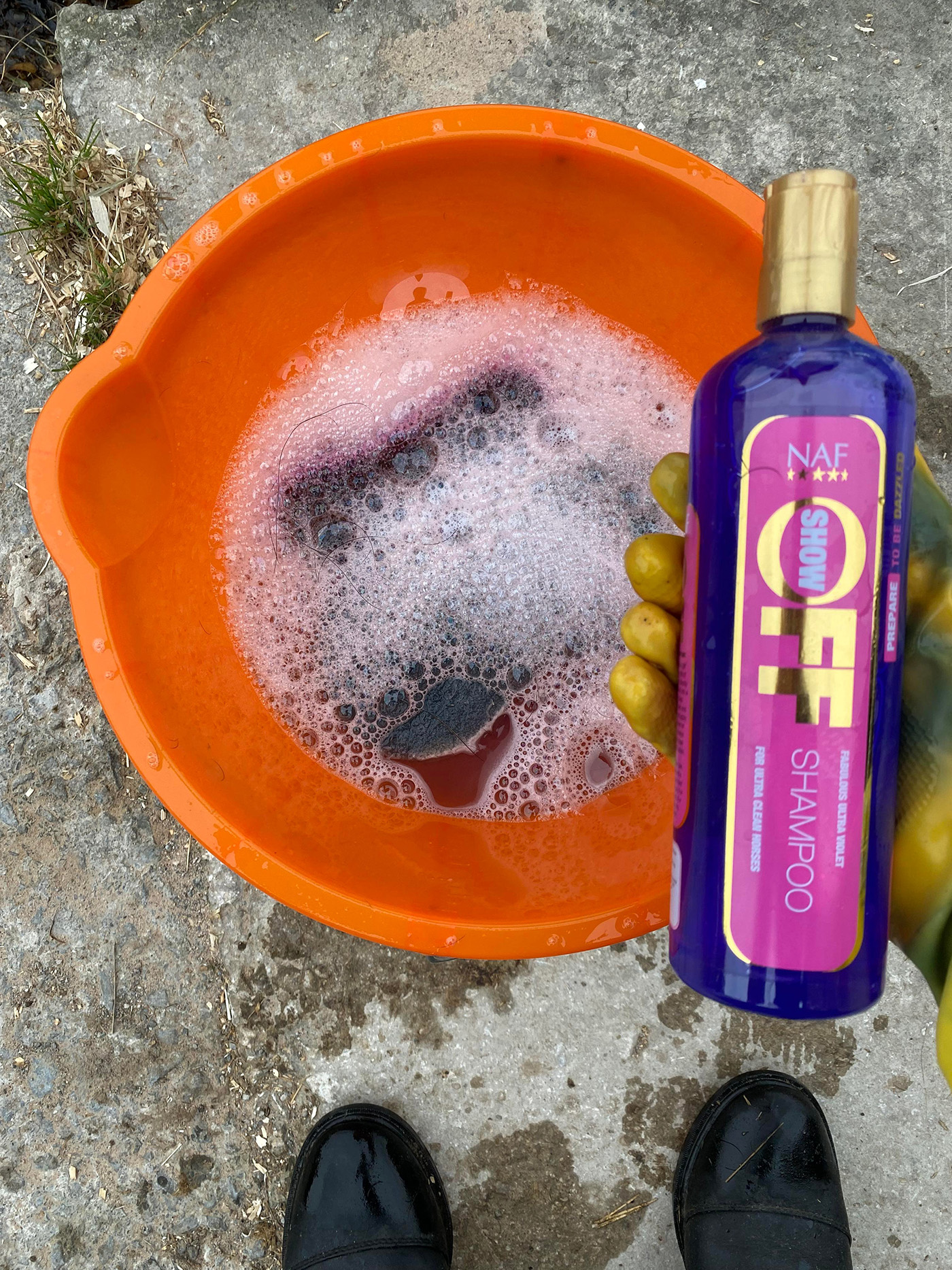 SHAMPOO 1